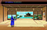 Budokan: The Martial Spirit screenshot