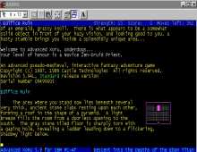 Advanced Xoru screenshot