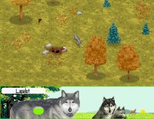 Wolf screenshot