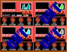 Basket Manager, The screenshot