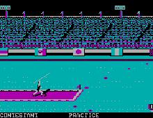 Summer Games 2 screenshot