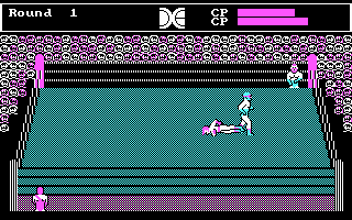 Tag Team Wrestling screenshot