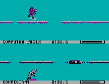 Winter Games screenshot