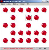 NimSim screenshot