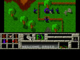 Druid 2: Enlightment screenshot