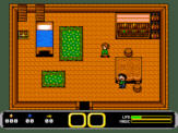 Zelda screenshot