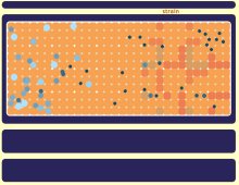 Strain screenshot