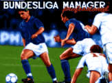 Bundesliga Manager Pro 1.3 screenshot