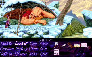 Simon the Sorcerer screenshot