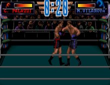 3D World Boxing screenshot