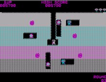 Dig Dug screenshot